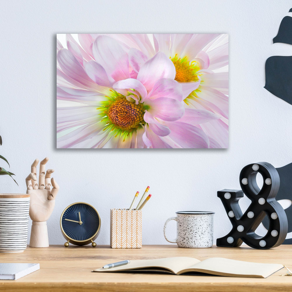 Epic Art 'Pink Daisys' by Pamela Plummer, Acrylic Glass Wall Art,16x12