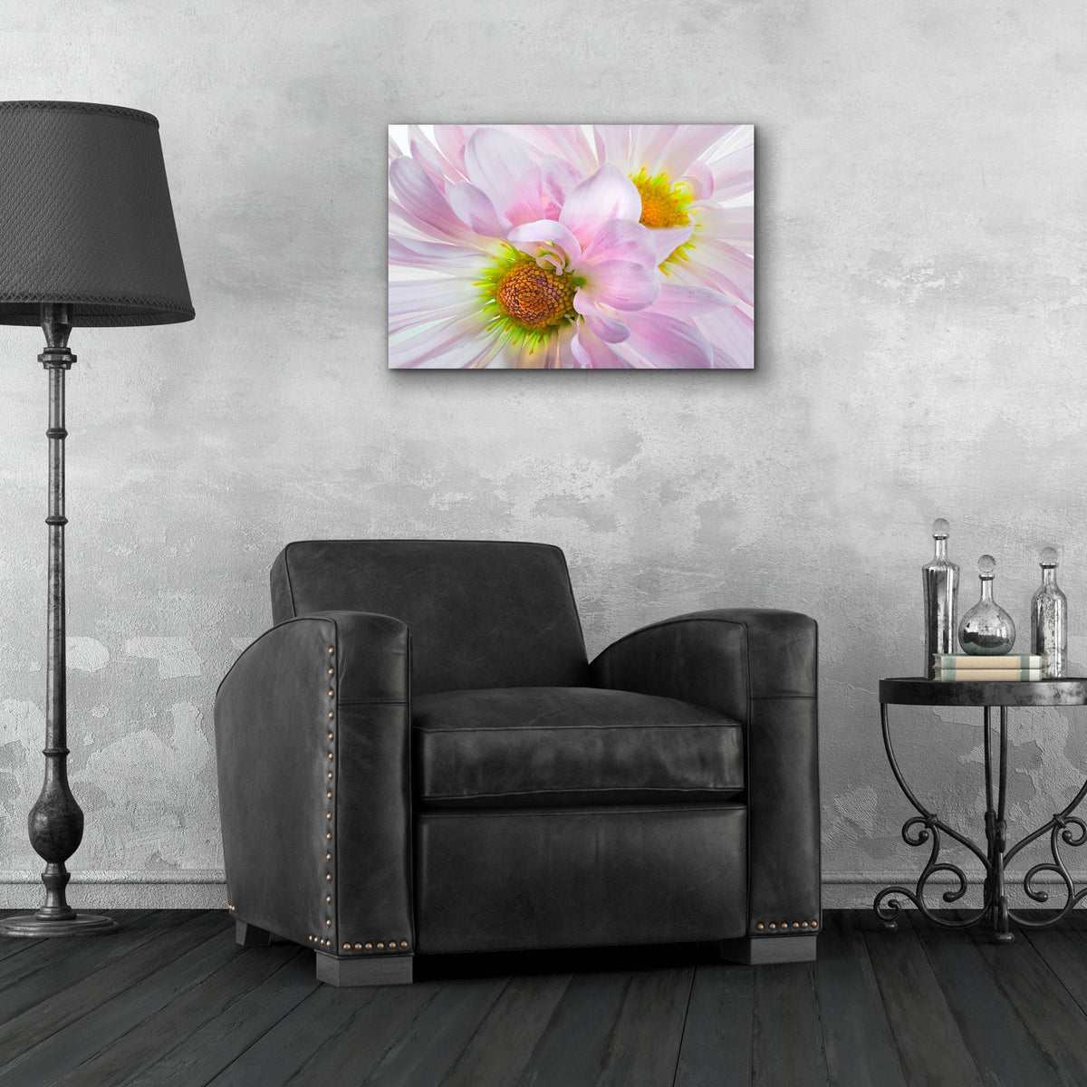 Epic Art 'Pink Daisys' by Pamela Plummer, Acrylic Glass Wall Art,24x16