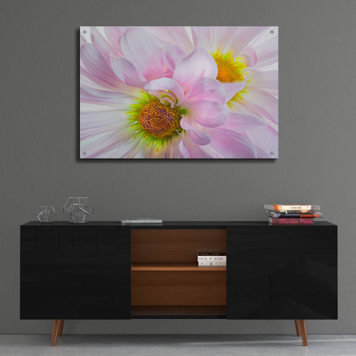 Epic Art 'Pink Daisys' by Pamela Plummer, Acrylic Glass Wall Art,36x24