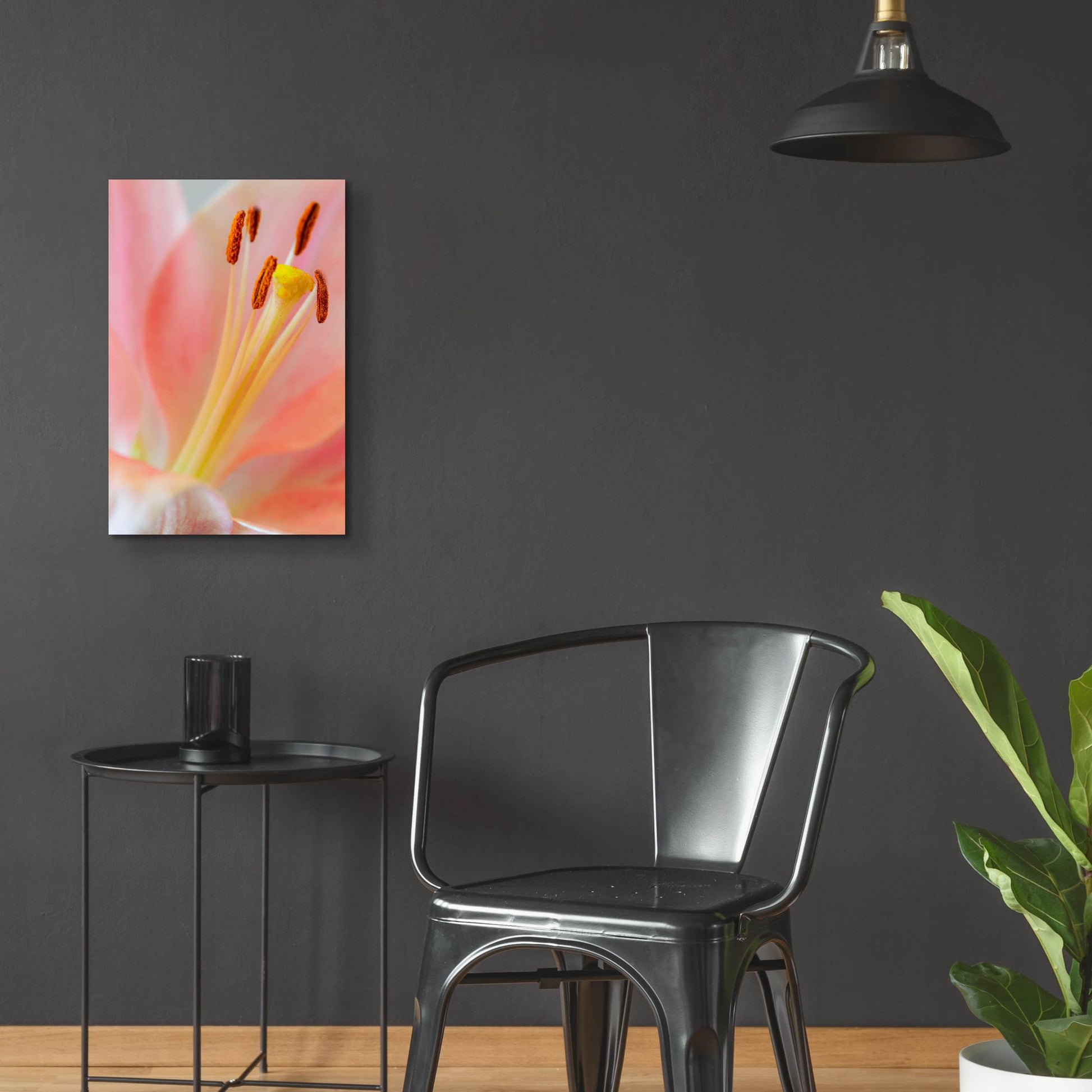 Epic Art 'Pink Lily So Soft' by Pamela Plummer, Acrylic Glass Wall Art,16x24