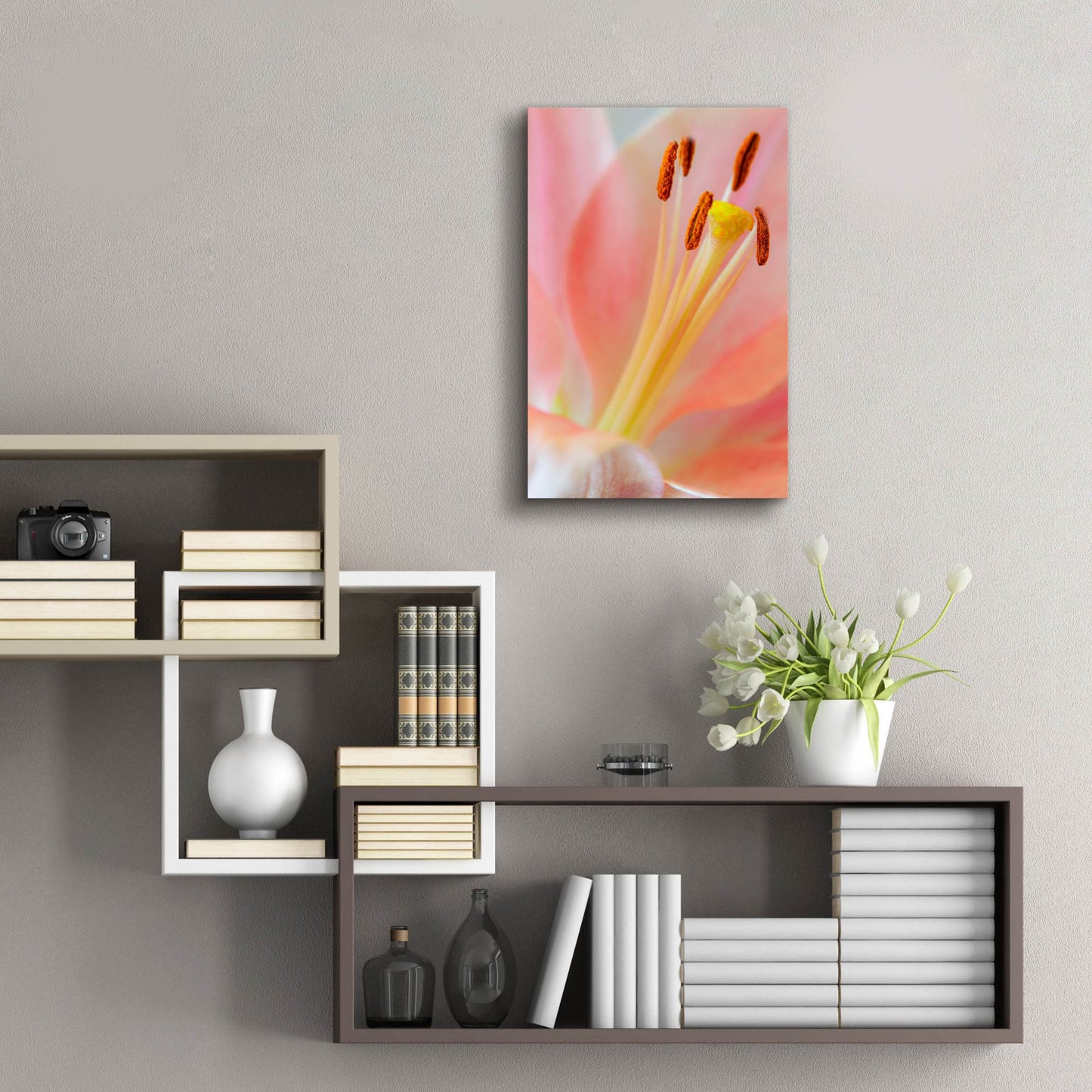 Epic Art 'Pink Lily So Soft' by Pamela Plummer, Acrylic Glass Wall Art,16x24