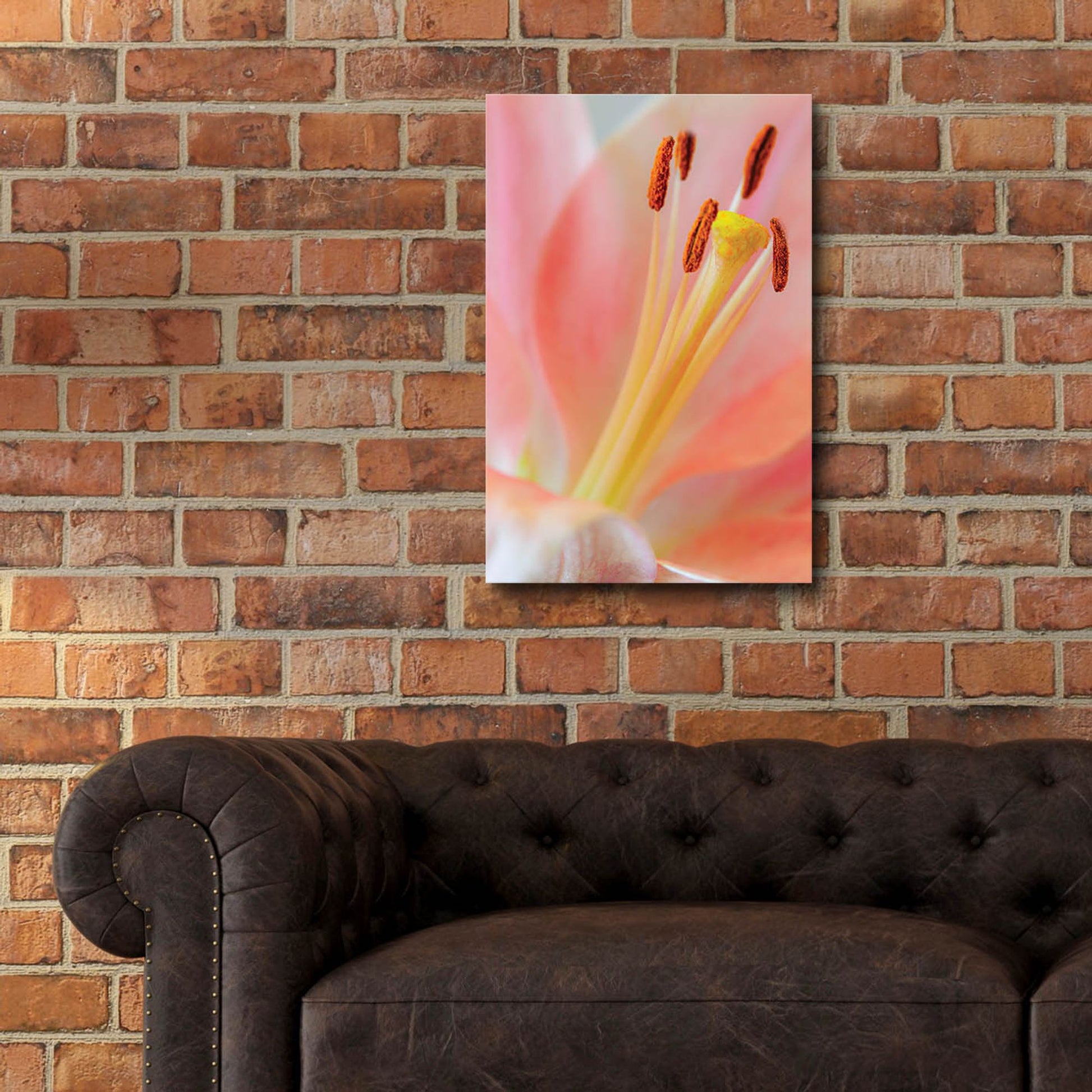 Epic Art 'Pink Lily So Soft' by Pamela Plummer, Acrylic Glass Wall Art,16x24