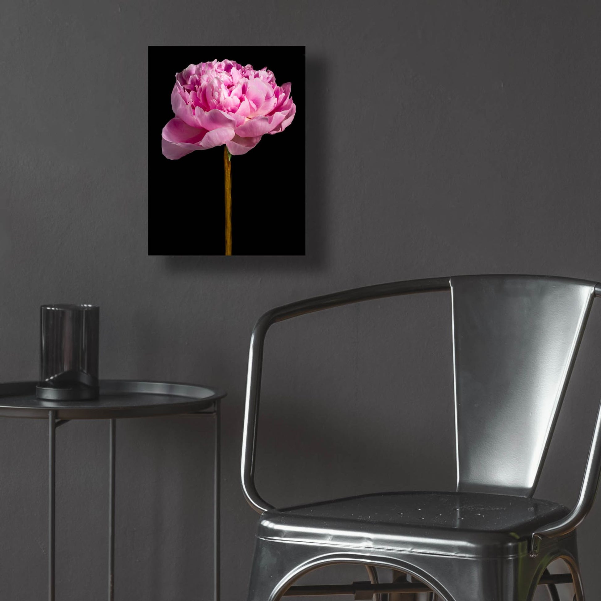 Epic Art 'Pink Peony' by Pamela Plummer, Acrylic Glass Wall Art,12x16