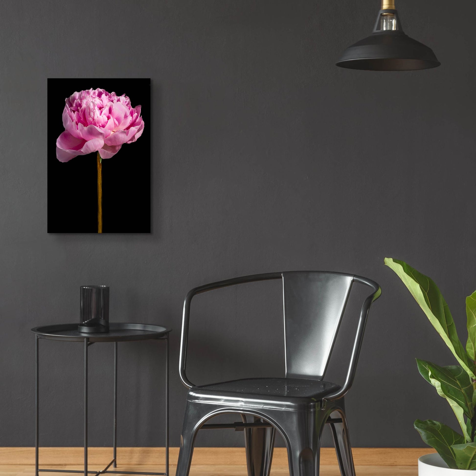 Epic Art 'Pink Peony' by Pamela Plummer, Acrylic Glass Wall Art,16x24