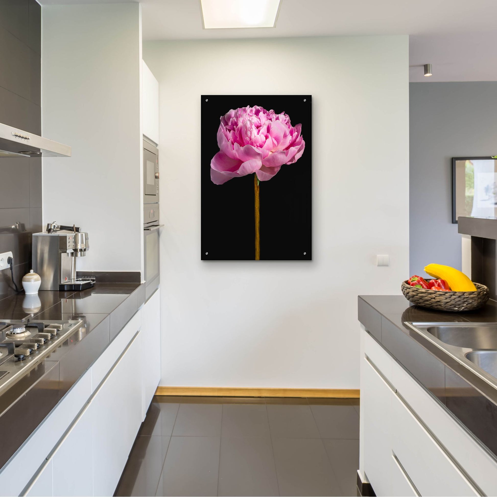 Epic Art 'Pink Peony' by Pamela Plummer, Acrylic Glass Wall Art,24x36