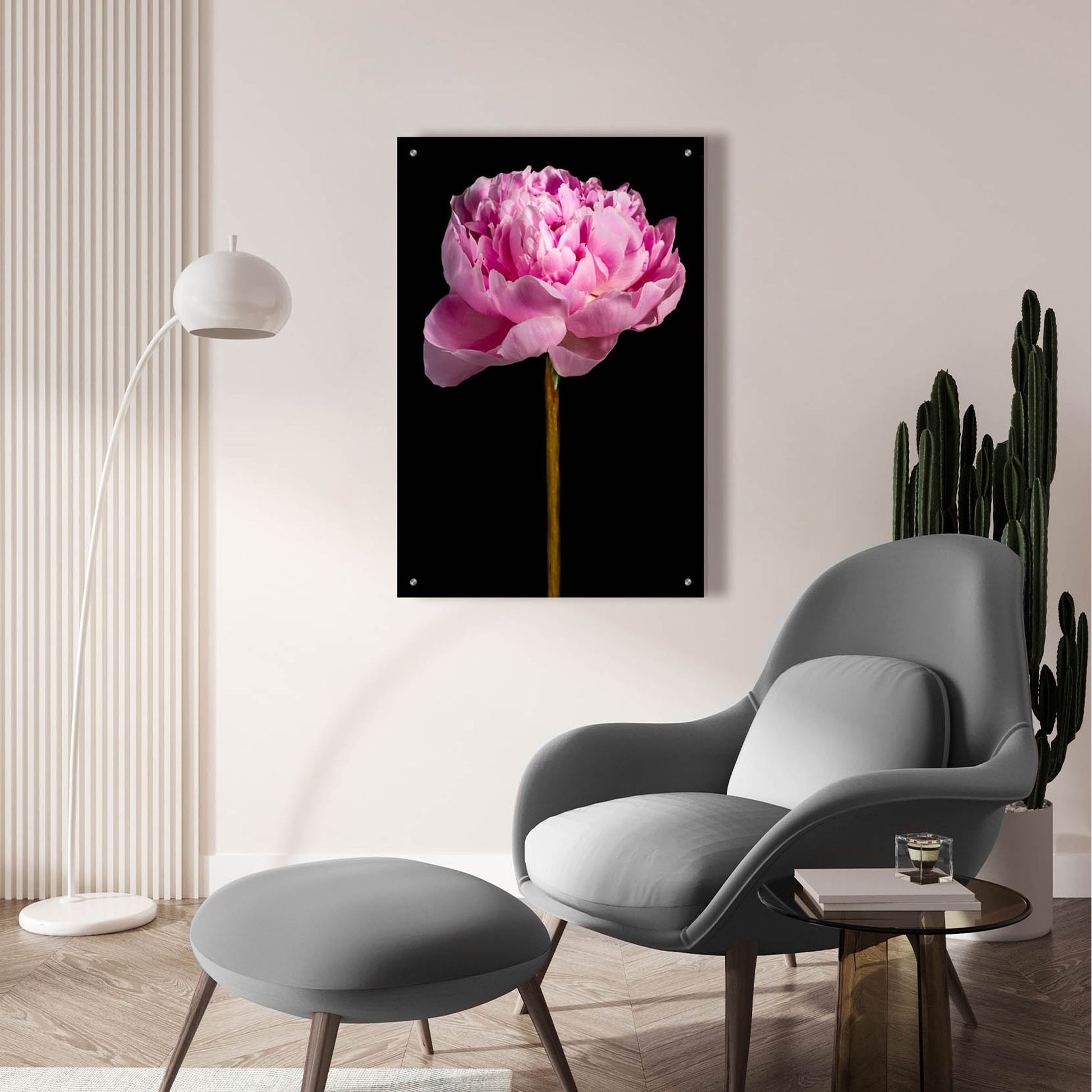 Epic Art 'Pink Peony' by Pamela Plummer, Acrylic Glass Wall Art,24x36