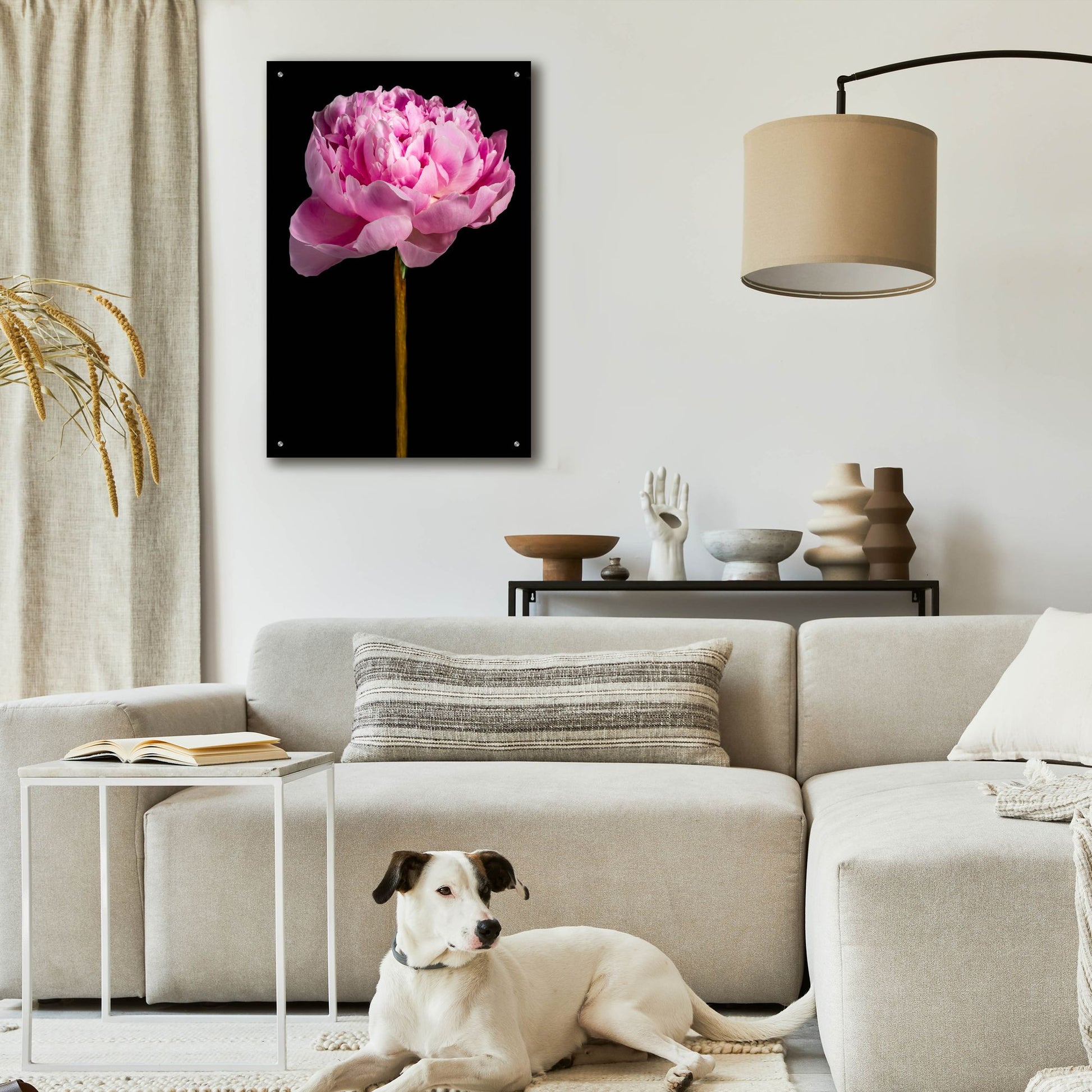 Epic Art 'Pink Peony' by Pamela Plummer, Acrylic Glass Wall Art,24x36