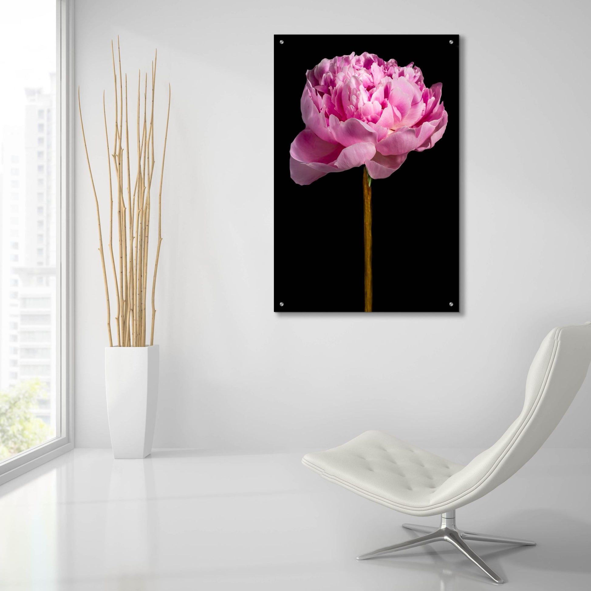 Epic Art 'Pink Peony' by Pamela Plummer, Acrylic Glass Wall Art,24x36