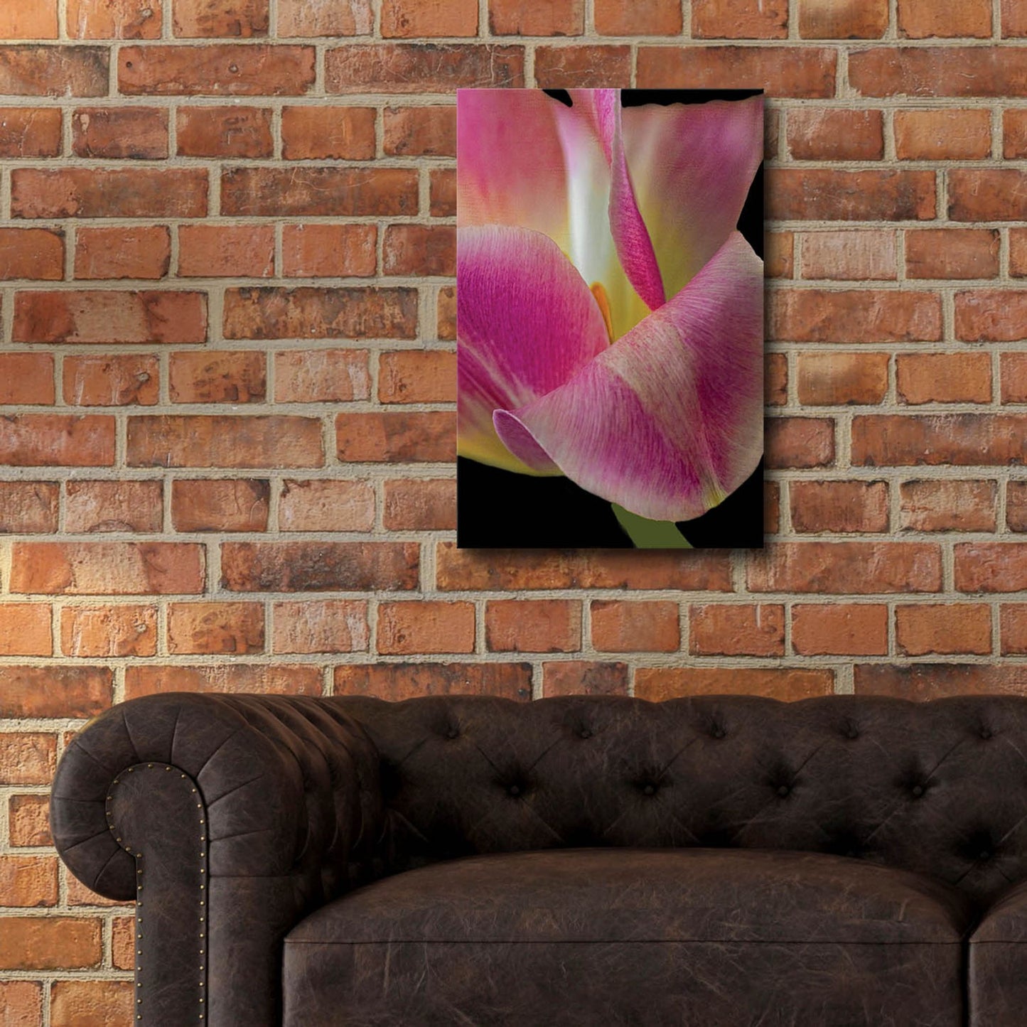 Epic Art 'Pretty In Pink' by Pamela Plummer, Acrylic Glass Wall Art,16x24