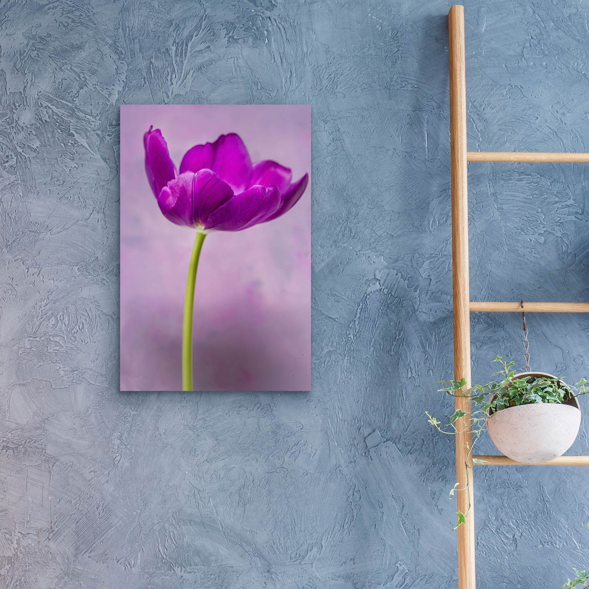 Epic Art 'Purple Majesty' by Pamela Plummer, Acrylic Glass Wall Art,16x24