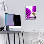 Epic Art 'Purple Tulip Reflection' by Pamela Plummer, Acrylic Glass Wall Art,12x16