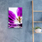 Epic Art 'Purple Tulip Reflection' by Pamela Plummer, Acrylic Glass Wall Art,16x24
