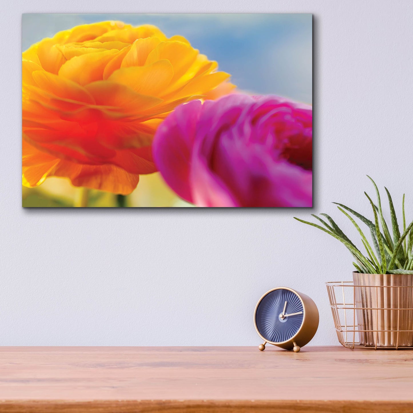 Epic Art 'Ranunculus In Orange And Pink' by Pamela Plummer, Acrylic Glass Wall Art,16x12