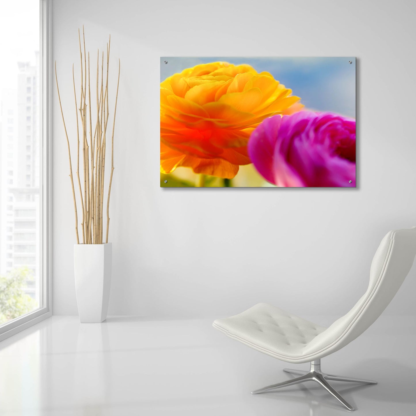 Epic Art 'Ranunculus In Orange And Pink' by Pamela Plummer, Acrylic Glass Wall Art,36x24