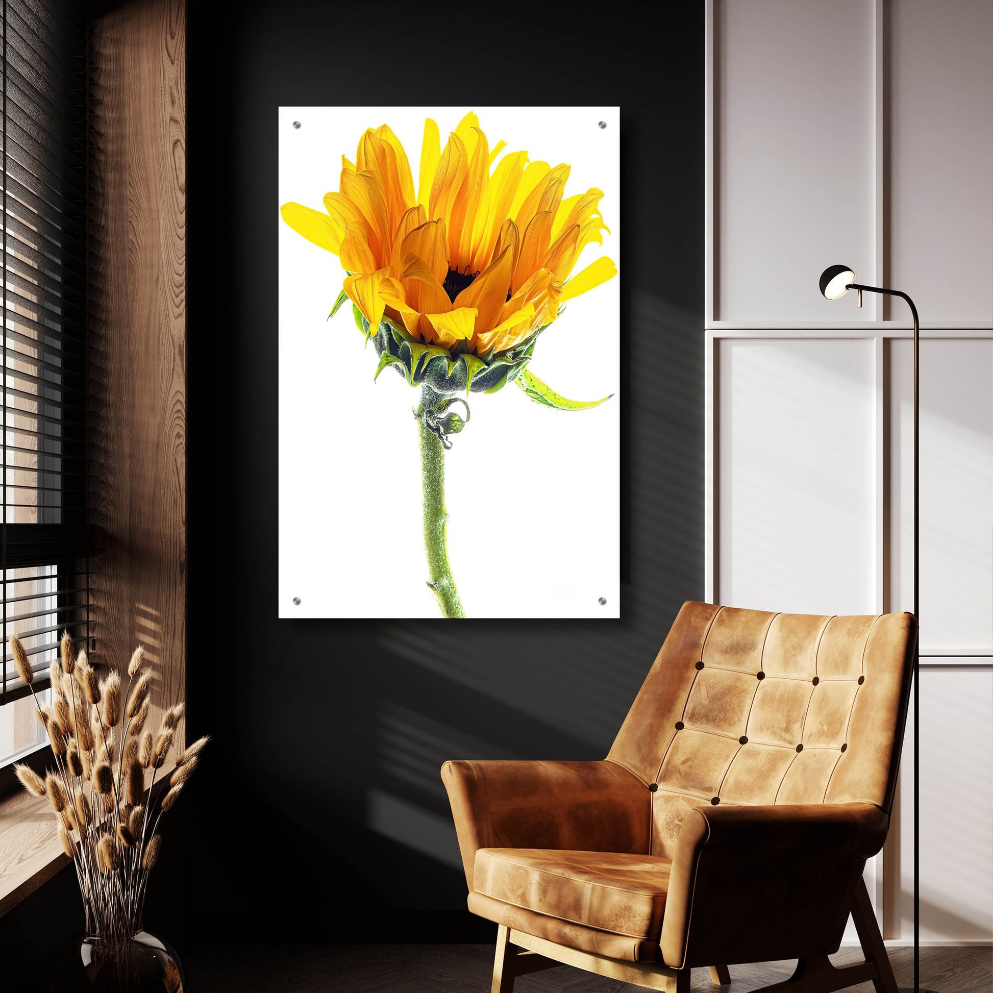 Epic Art 'Sunflower In The Sun' by Pamela Plummer, Acrylic Glass Wall Art,24x36