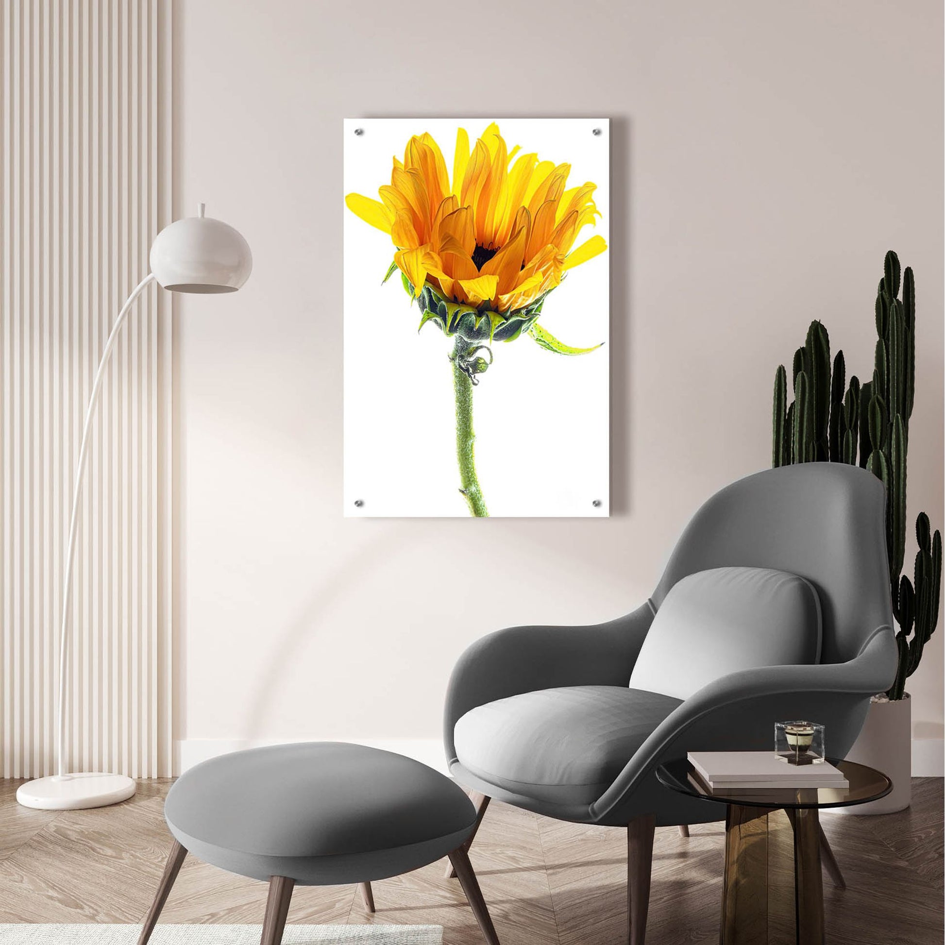 Epic Art 'Sunflower In The Sun' by Pamela Plummer, Acrylic Glass Wall Art,24x36