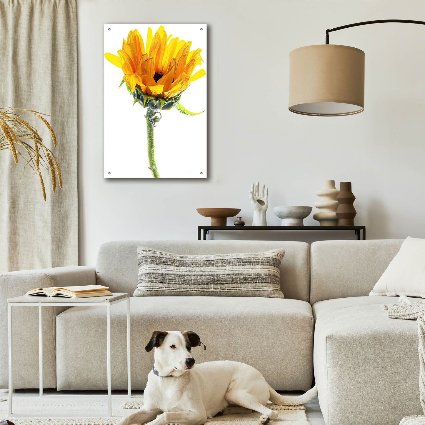 Epic Art 'Sunflower In The Sun' by Pamela Plummer, Acrylic Glass Wall Art,24x36