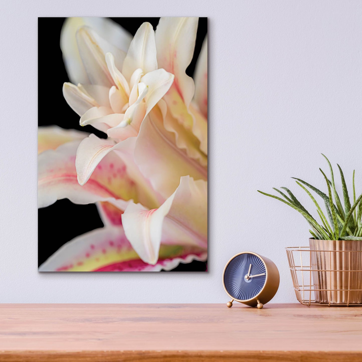 Epic Art 'They Called Her Lily' by Pamela Plummer, Acrylic Glass Wall Art,12x16