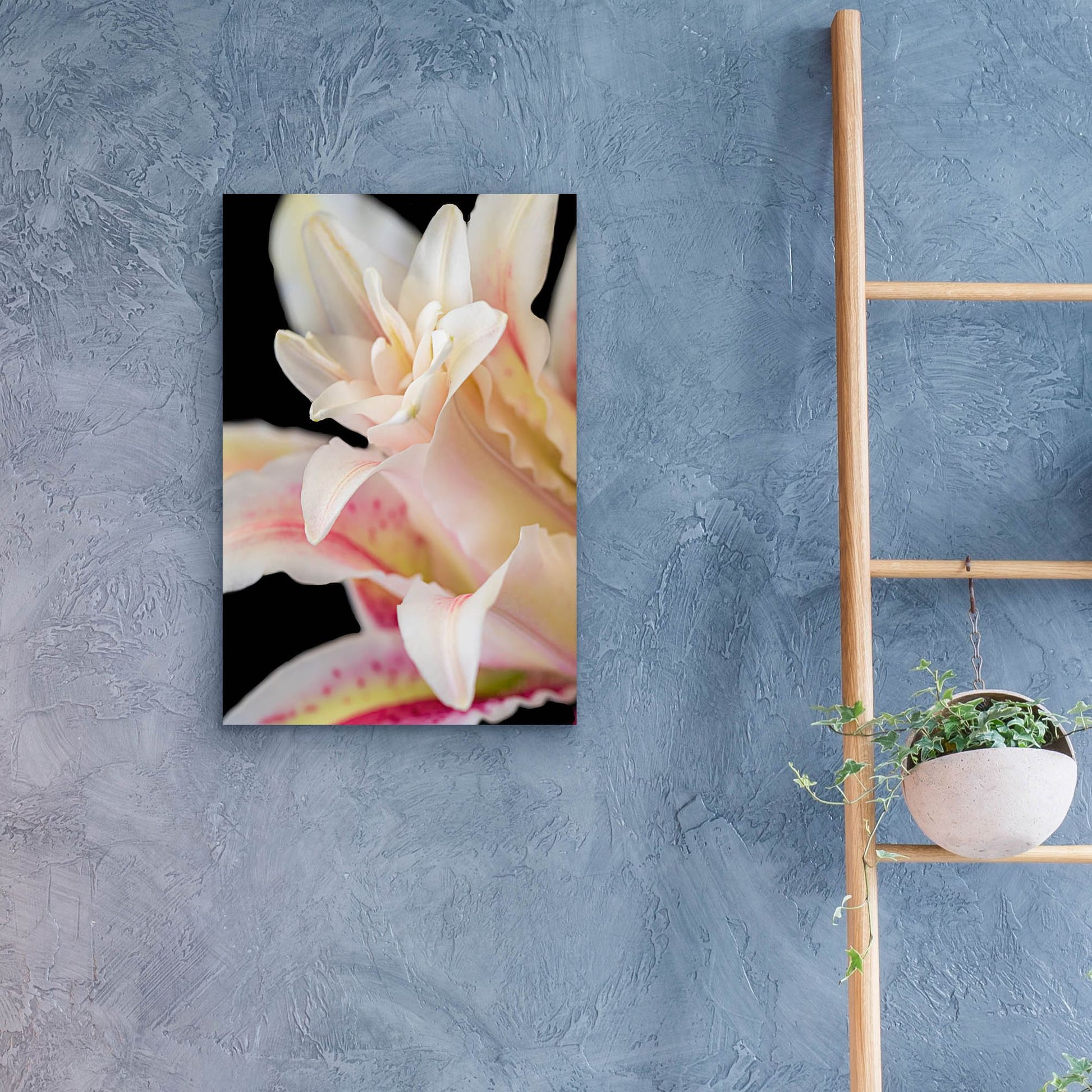 Epic Art 'They Called Her Lily' by Pamela Plummer, Acrylic Glass Wall Art,16x24