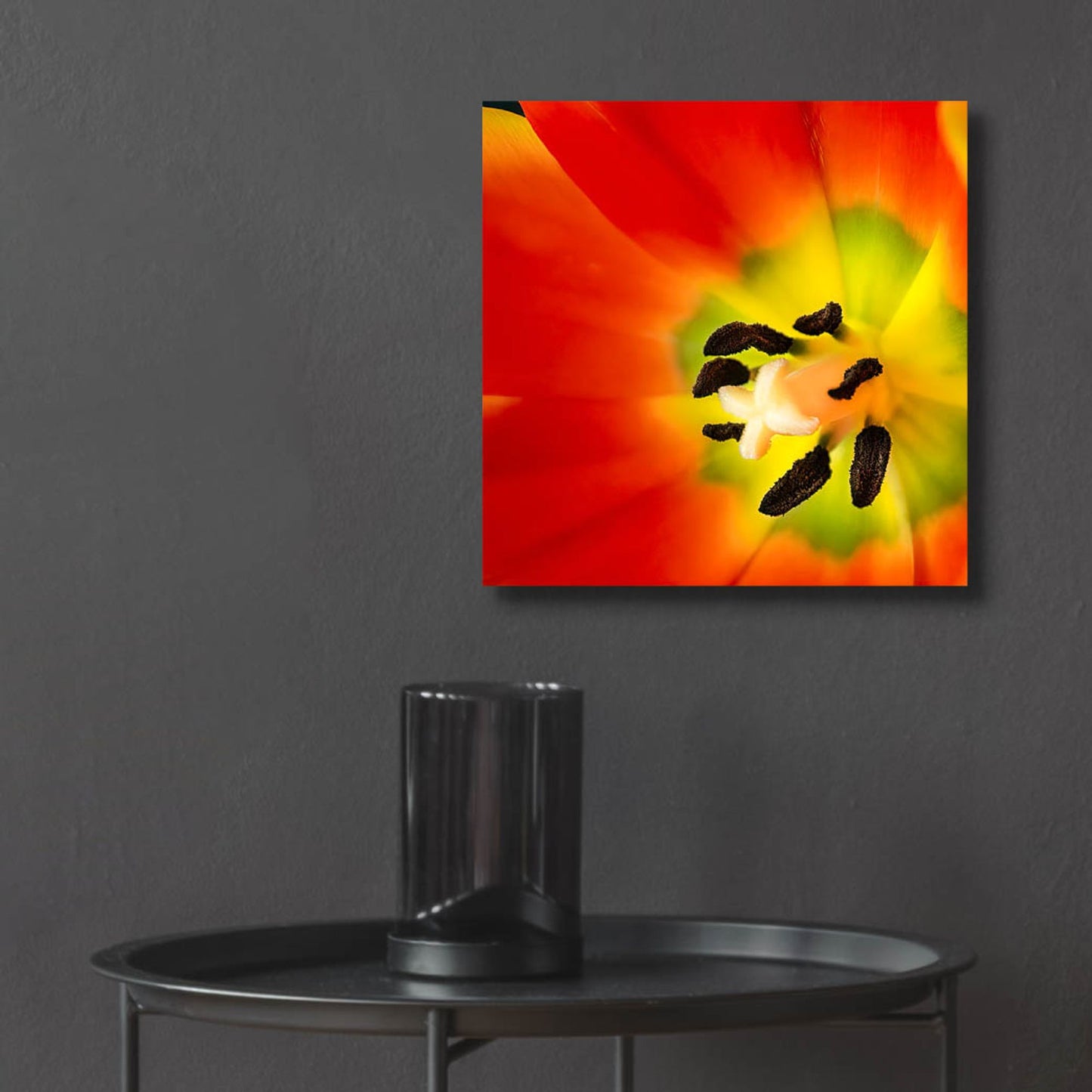 Epic Art 'Tulip Anthers' by Pamela Plummer, Acrylic Glass Wall Art,12x12