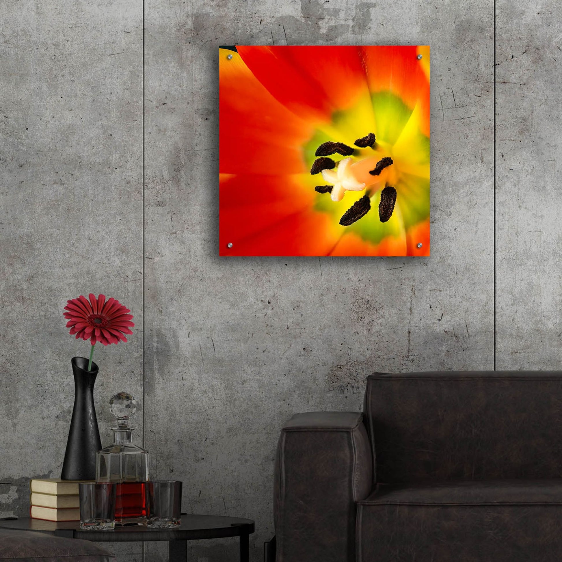 Epic Art 'Tulip Anthers' by Pamela Plummer, Acrylic Glass Wall Art,24x24