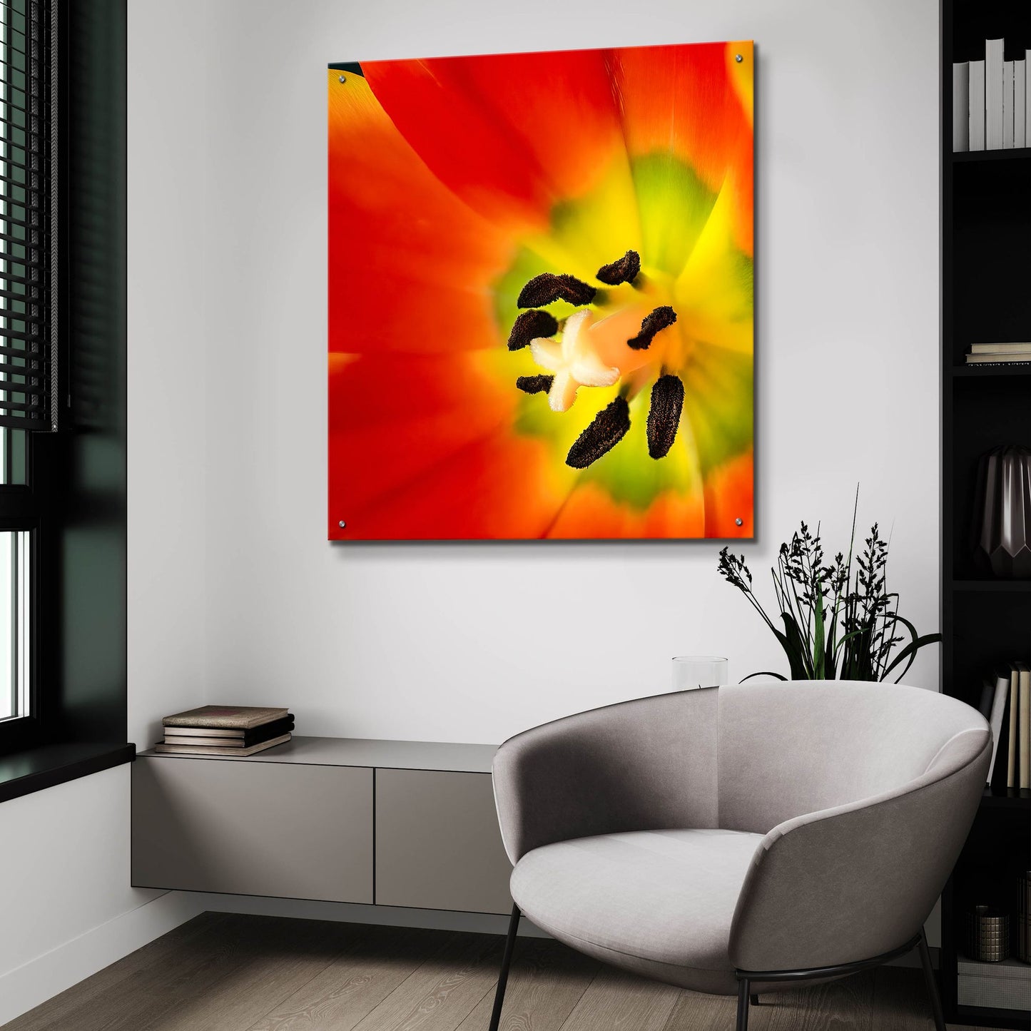 Epic Art 'Tulip Anthers' by Pamela Plummer, Acrylic Glass Wall Art,36x36