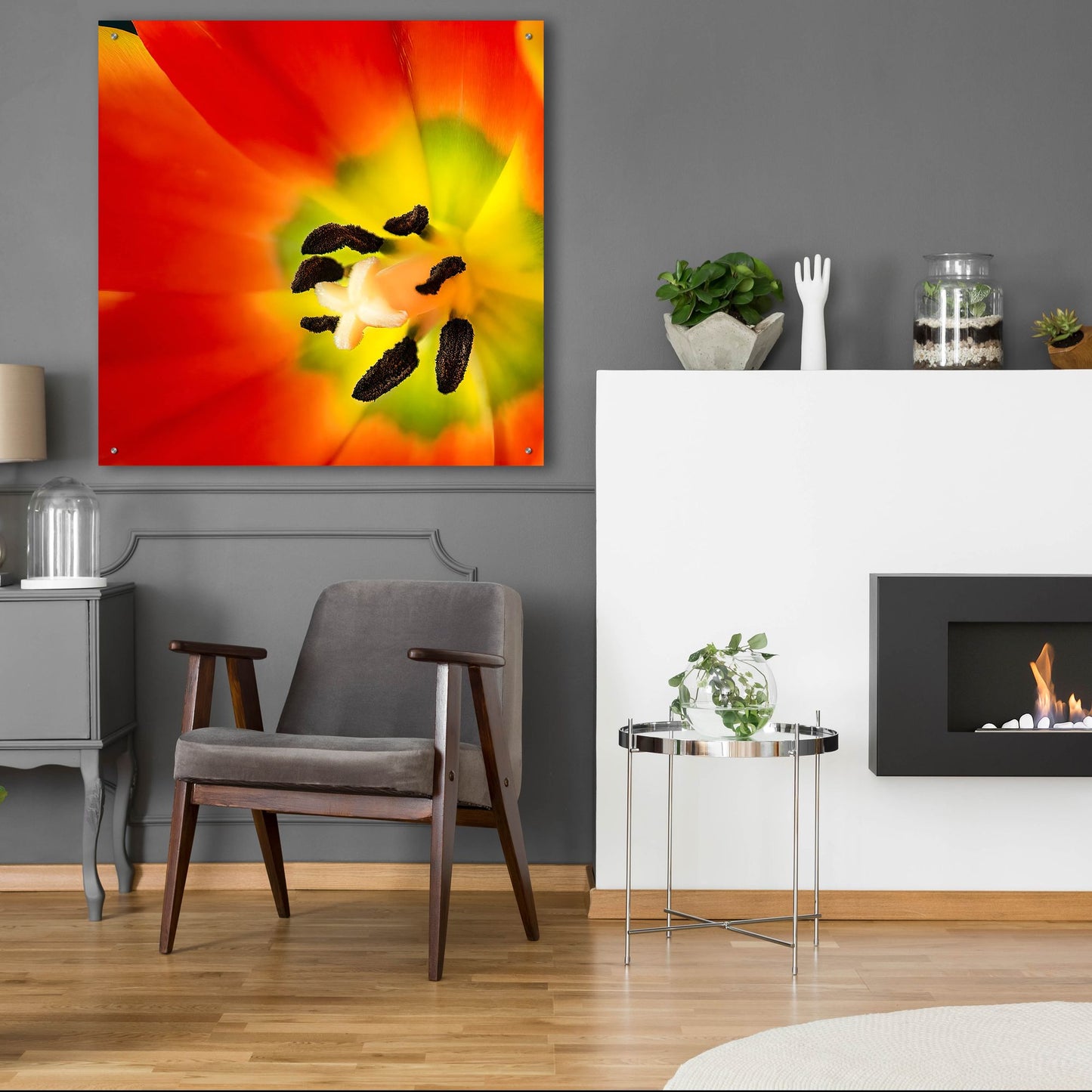 Epic Art 'Tulip Anthers' by Pamela Plummer, Acrylic Glass Wall Art,36x36