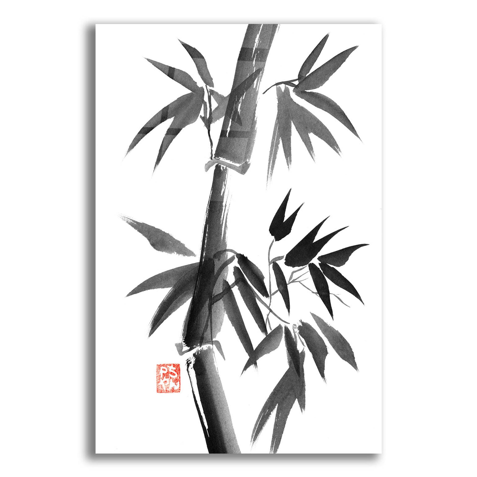 Epic Art 'Bamboo 01' by Pechane, Acrylic Glass Wall Art,12x16