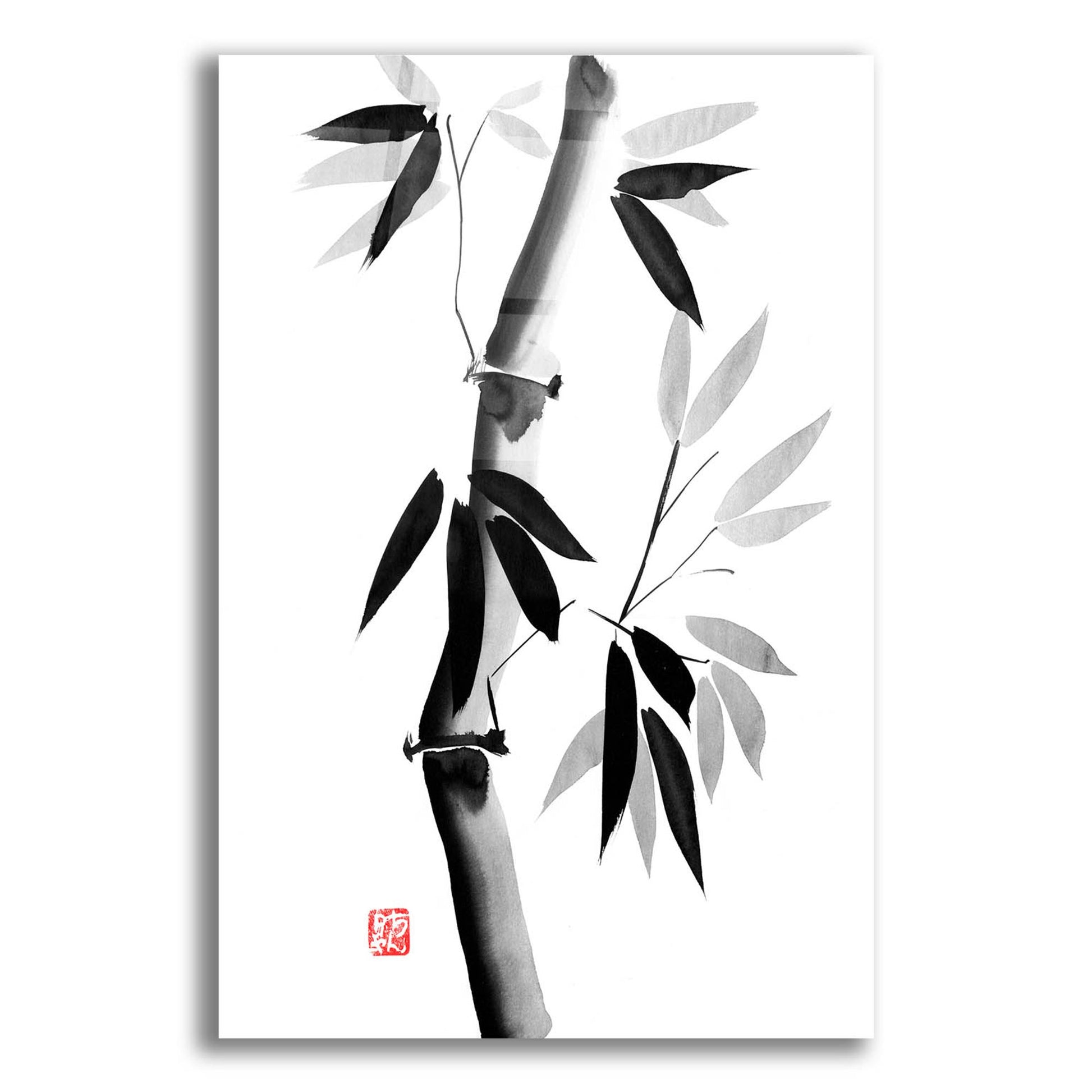 Epic Art 'Bamboo 02' by Pechane, Acrylic Glass Wall Art,12x16