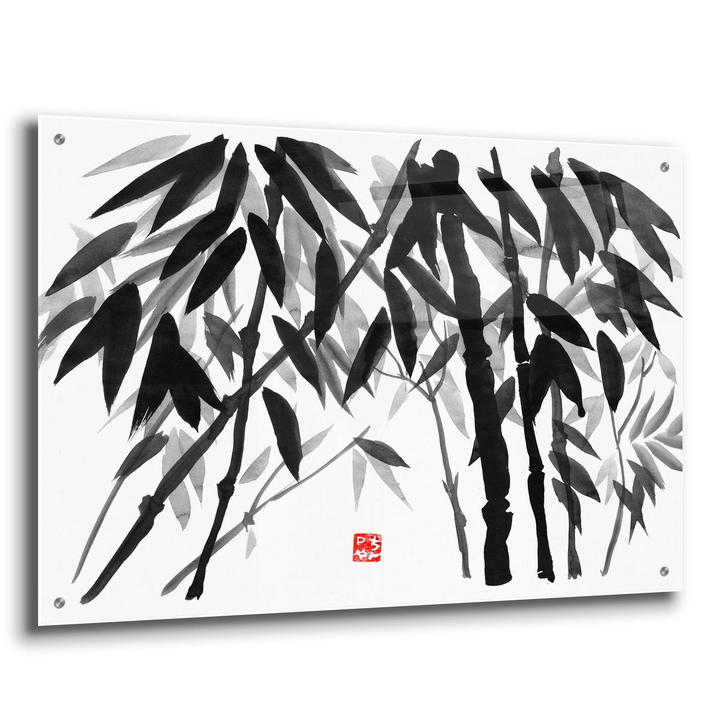 Epic Art 'Bamboo 03' by Pechane, Acrylic Glass Wall Art,36x24