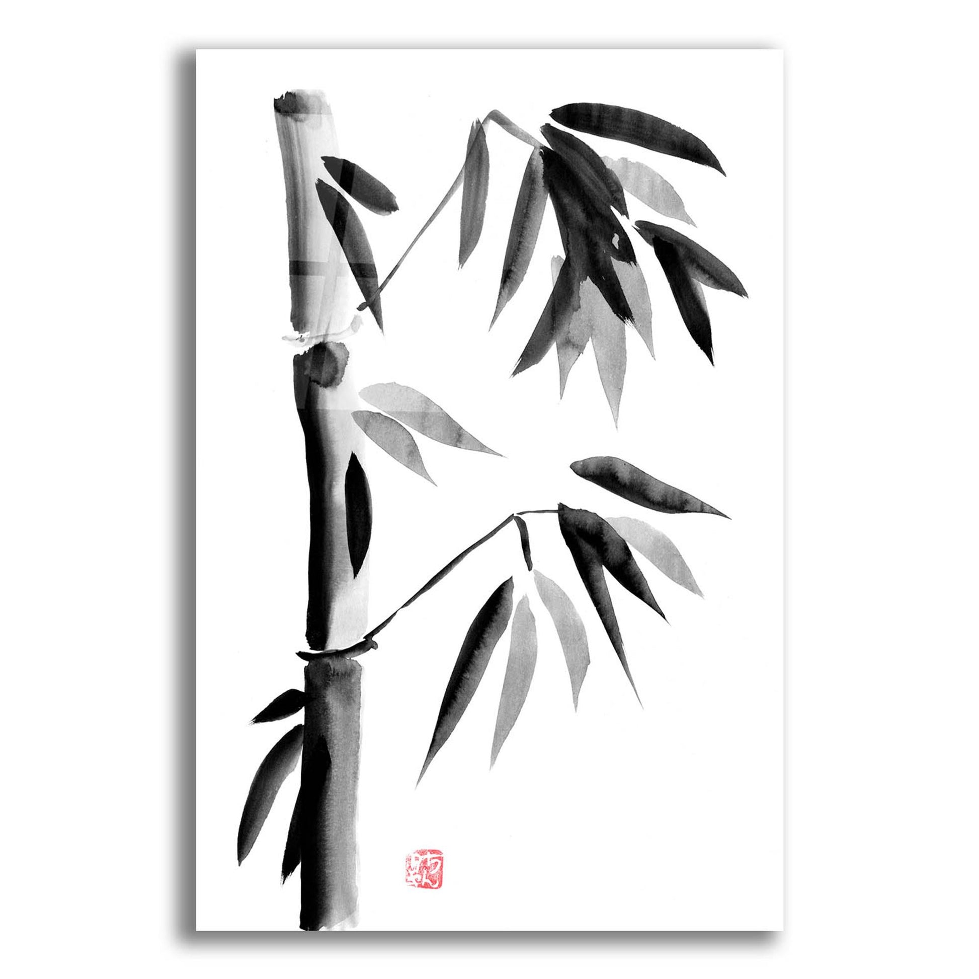 Epic Art 'Bamboo 05' by Pechane, Acrylic Glass Wall Art,12x16