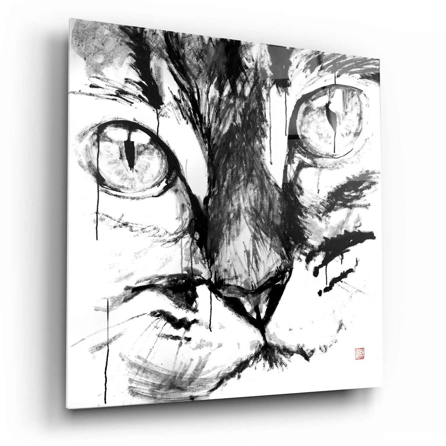 Epic Art 'Cat Face' by Pechane, Acrylic Glass Wall Art,12x12