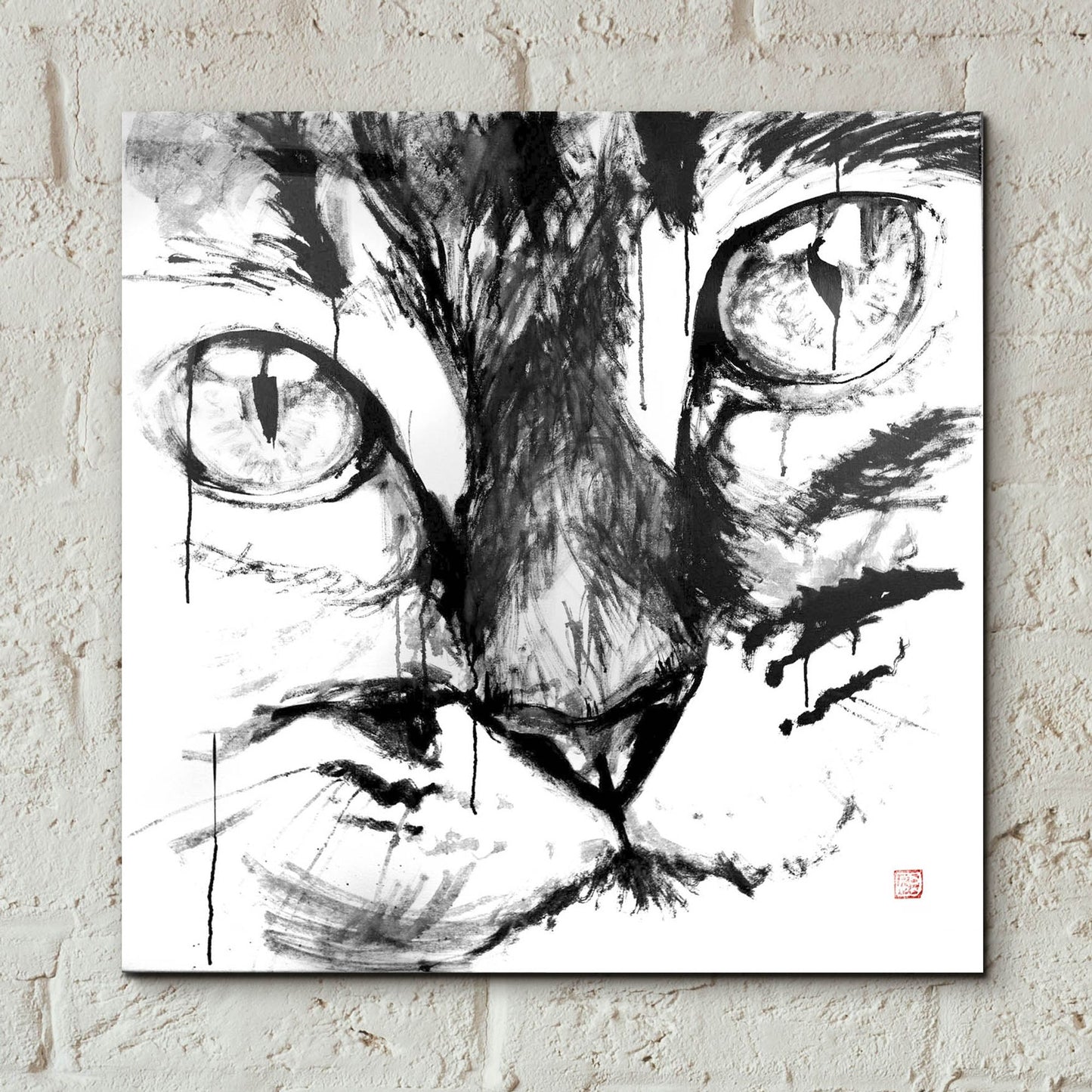 Epic Art 'Cat Face' by Pechane, Acrylic Glass Wall Art,12x12