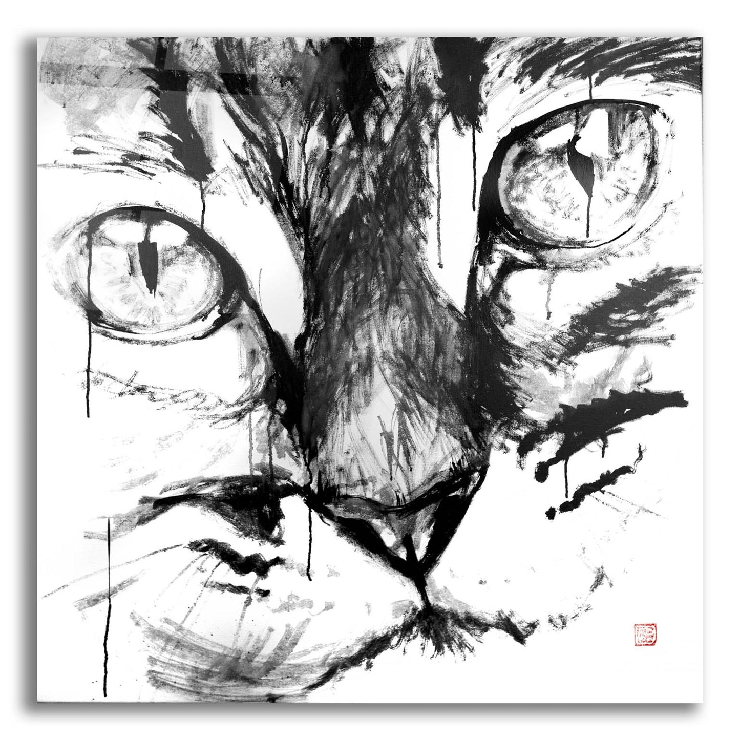 Epic Art 'Cat Face' by Pechane, Acrylic Glass Wall Art,12x12