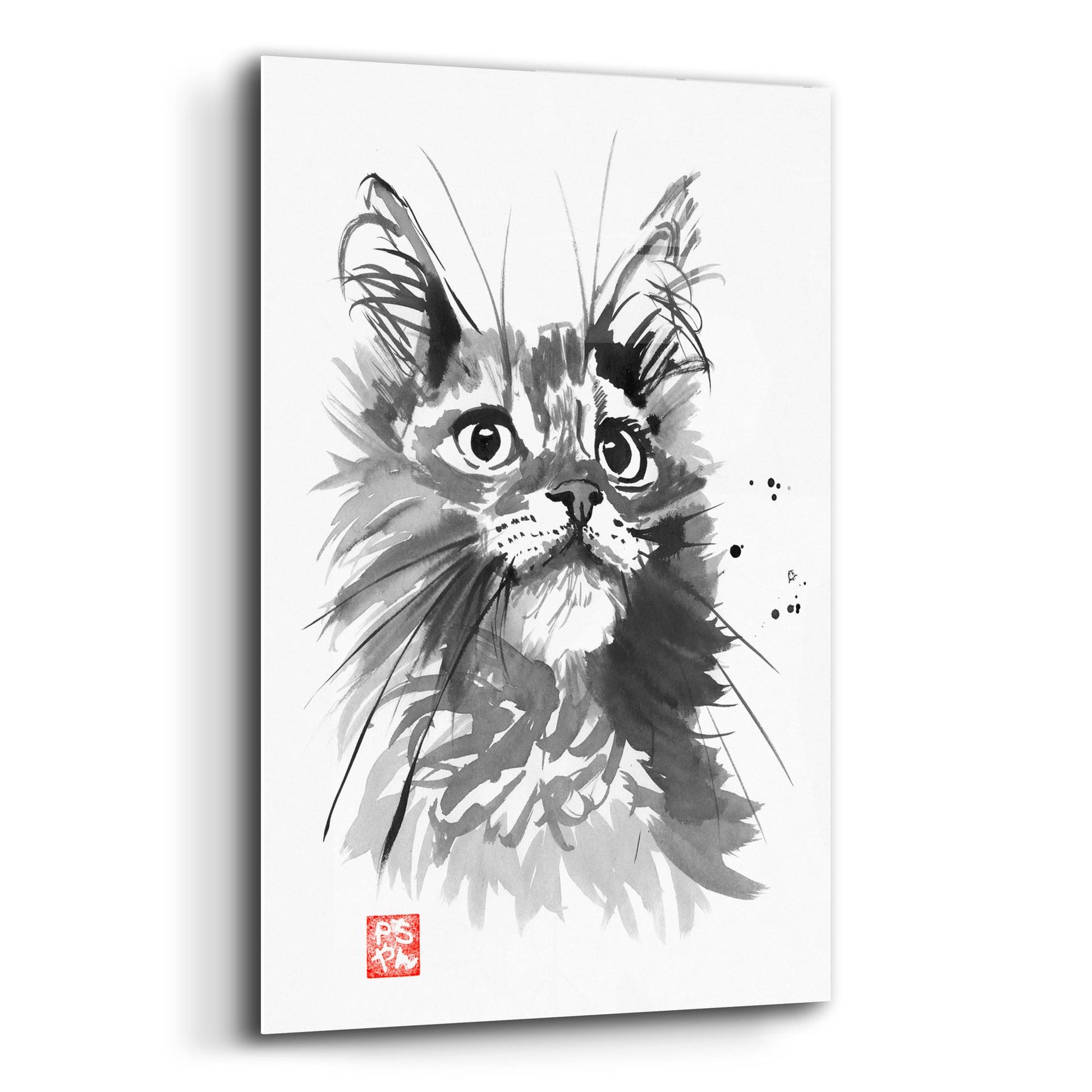 Epic Art 'Hairy Cat' by Pechane, Acrylic Glass Wall Art,12x16