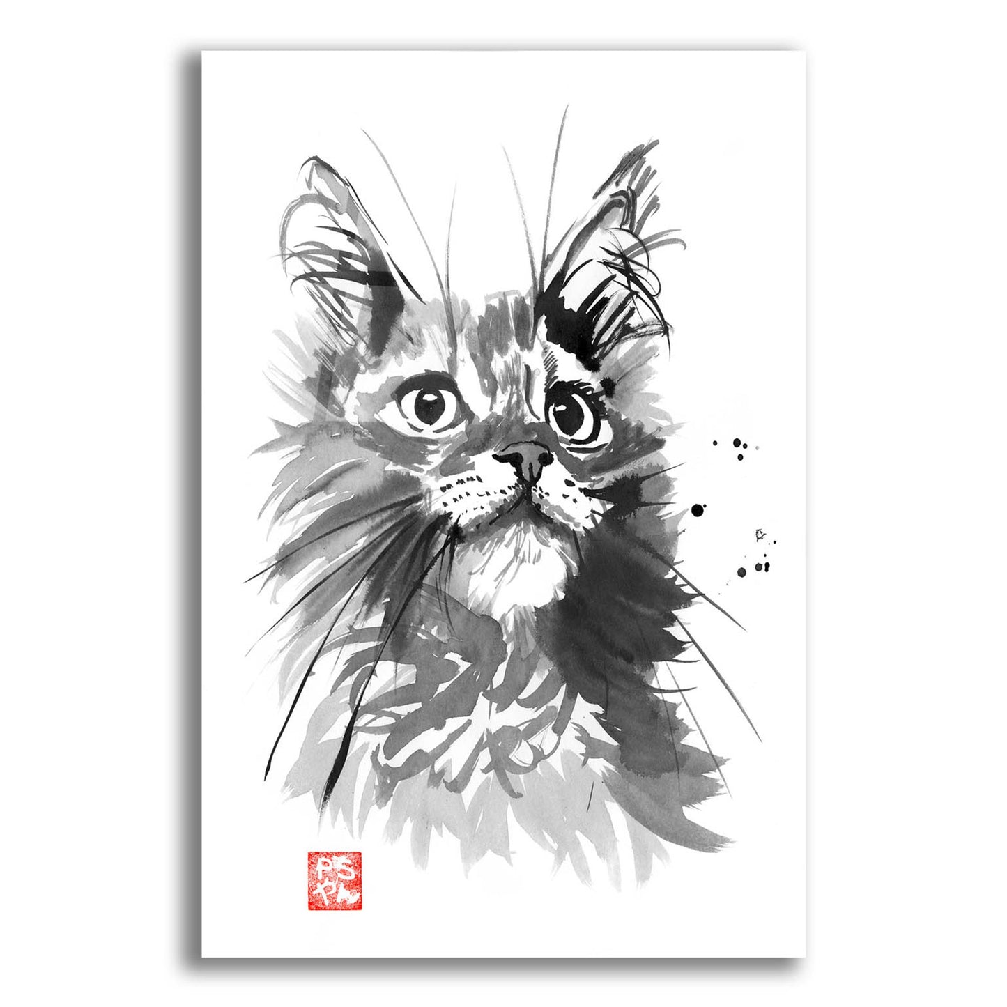 Epic Art 'Hairy Cat' by Pechane, Acrylic Glass Wall Art,12x16