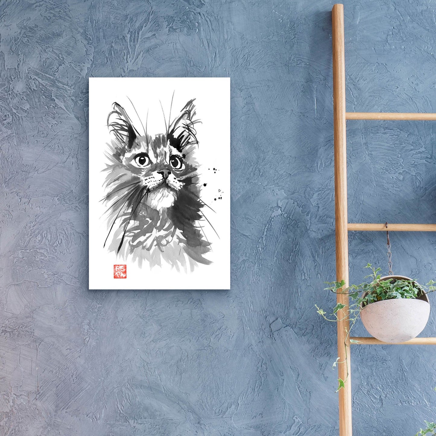 Epic Art 'Hairy Cat' by Pechane, Acrylic Glass Wall Art,16x24