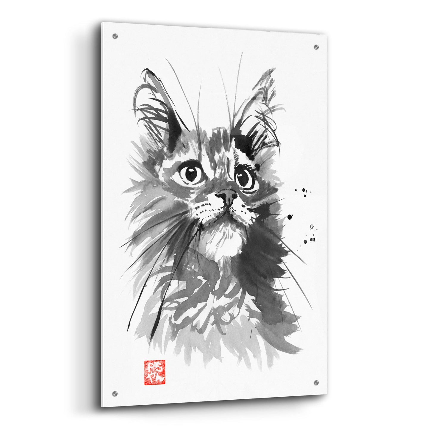 Epic Art 'Hairy Cat' by Pechane, Acrylic Glass Wall Art,24x36