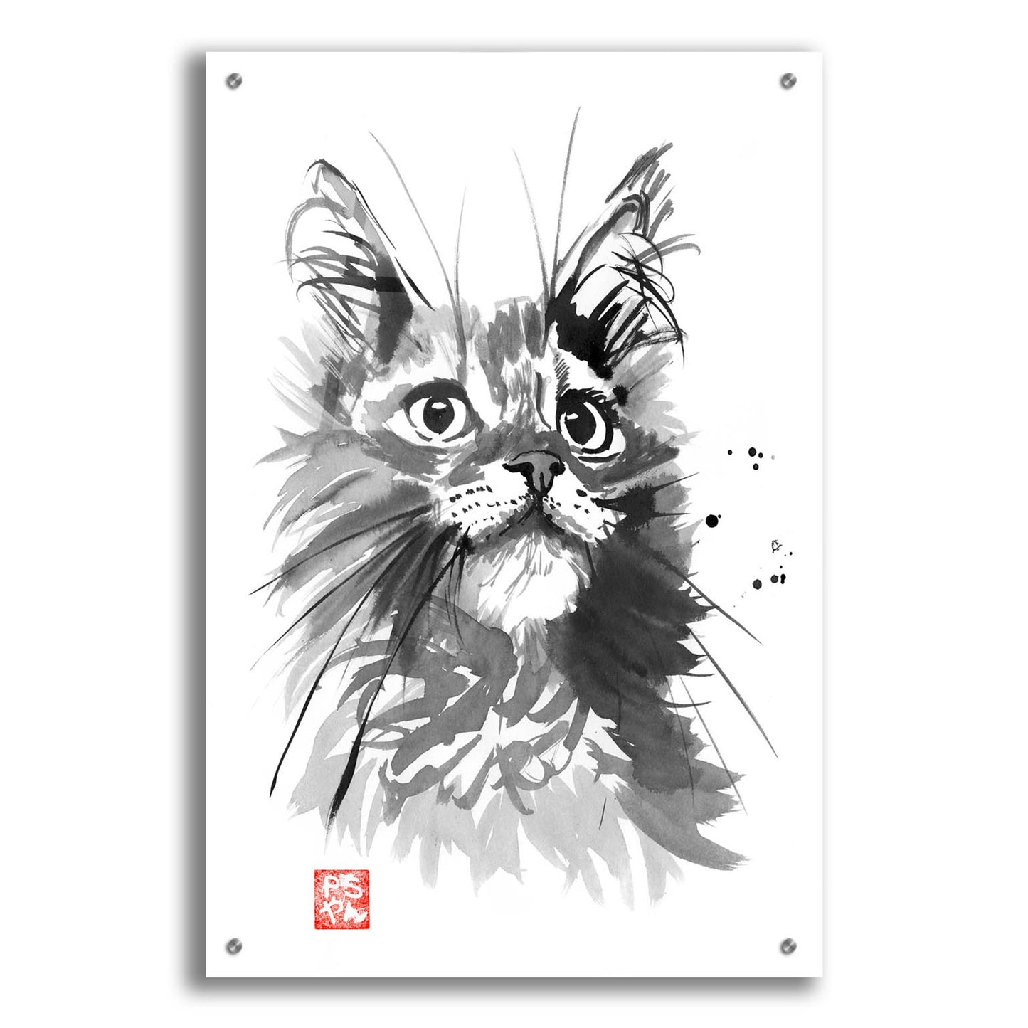 Epic Art 'Hairy Cat' by Pechane, Acrylic Glass Wall Art,24x36