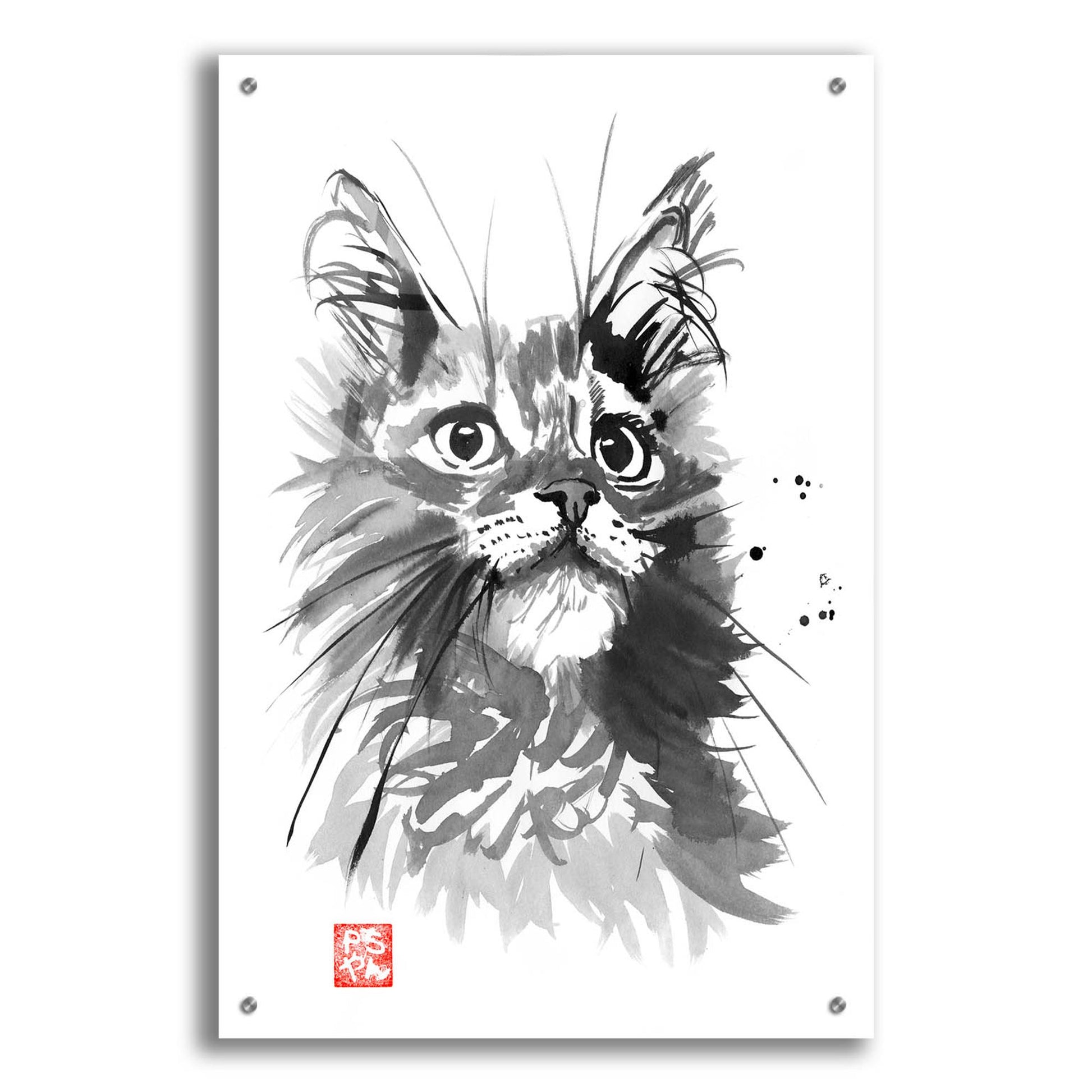 Epic Art 'Hairy Cat' by Pechane, Acrylic Glass Wall Art,24x36