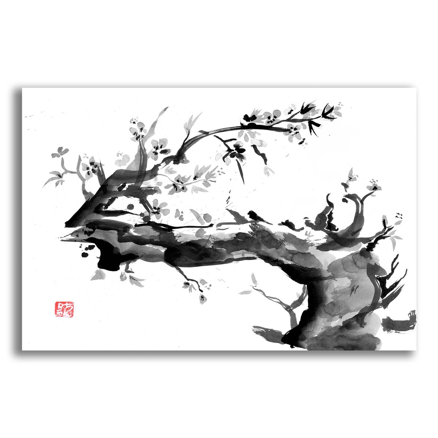 Epic Art 'Old Dead Tree' by Pechane, Acrylic Glass Wall Art,16x12