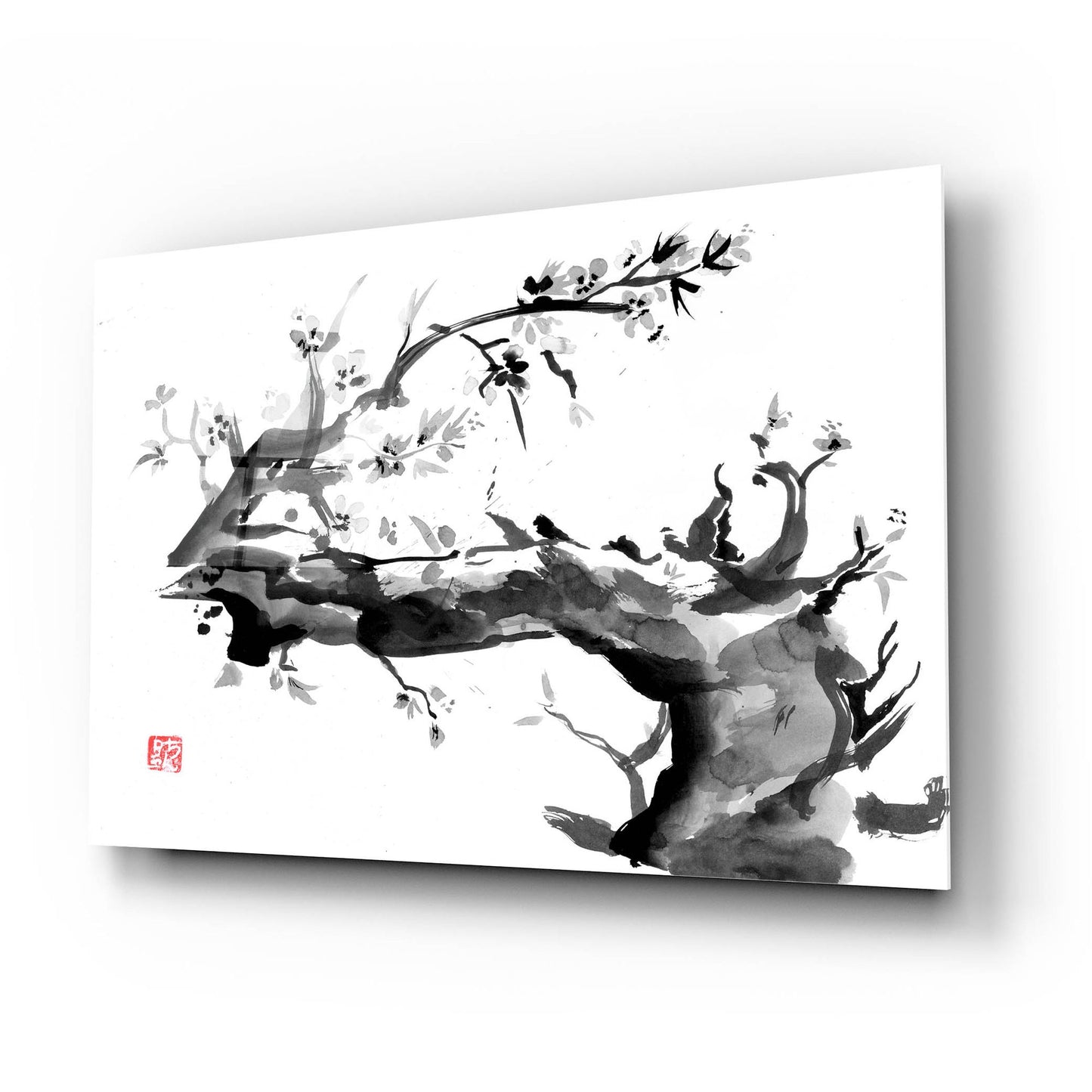 Epic Art 'Old Dead Tree' by Pechane, Acrylic Glass Wall Art,24x16