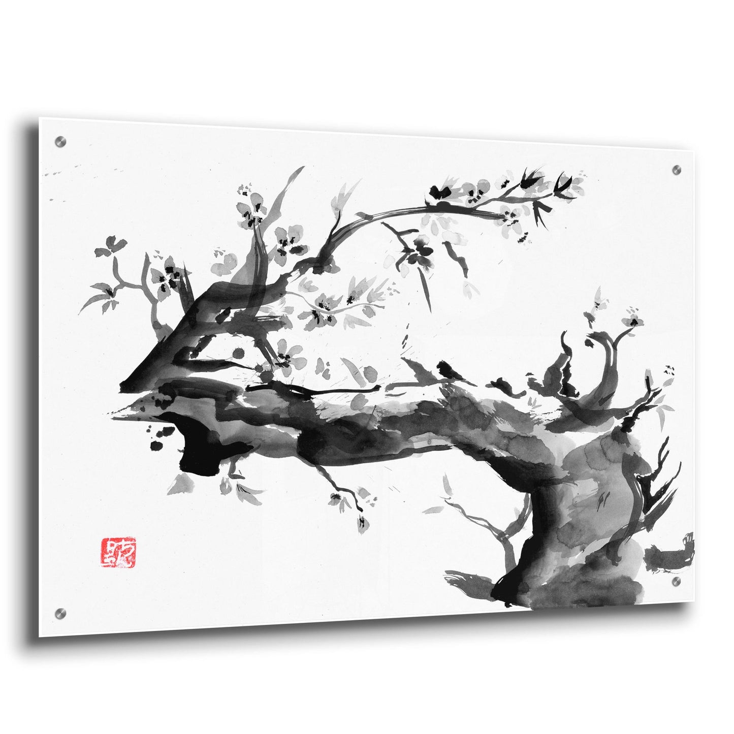 Epic Art 'Old Dead Tree' by Pechane, Acrylic Glass Wall Art,36x24