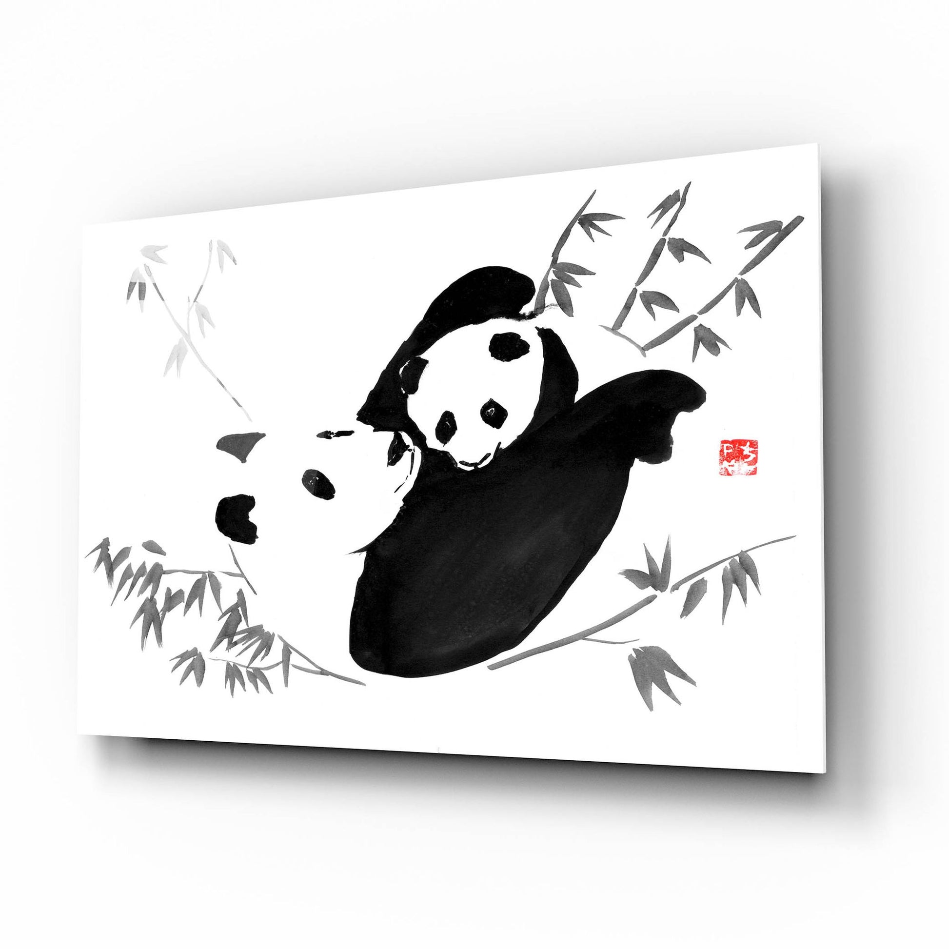 Epic Art 'Panda Family' by Pechane, Acrylic Glass Wall Art,16x12