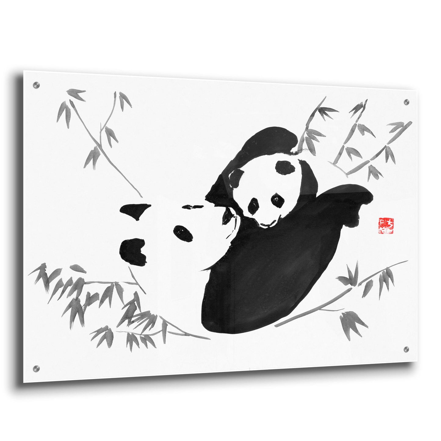 Epic Art 'Panda Family' by Pechane, Acrylic Glass Wall Art,36x24