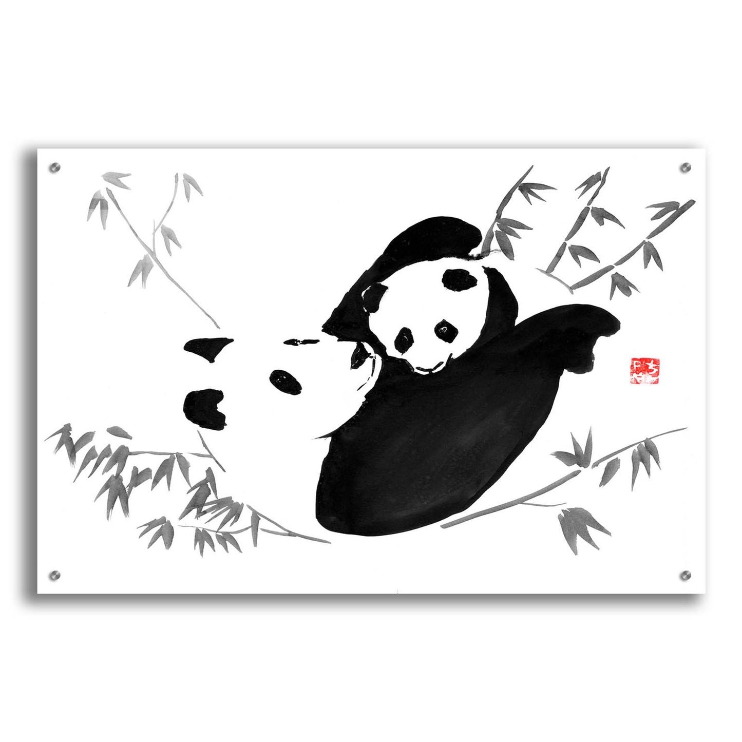 Epic Art 'Panda Family' by Pechane, Acrylic Glass Wall Art,36x24