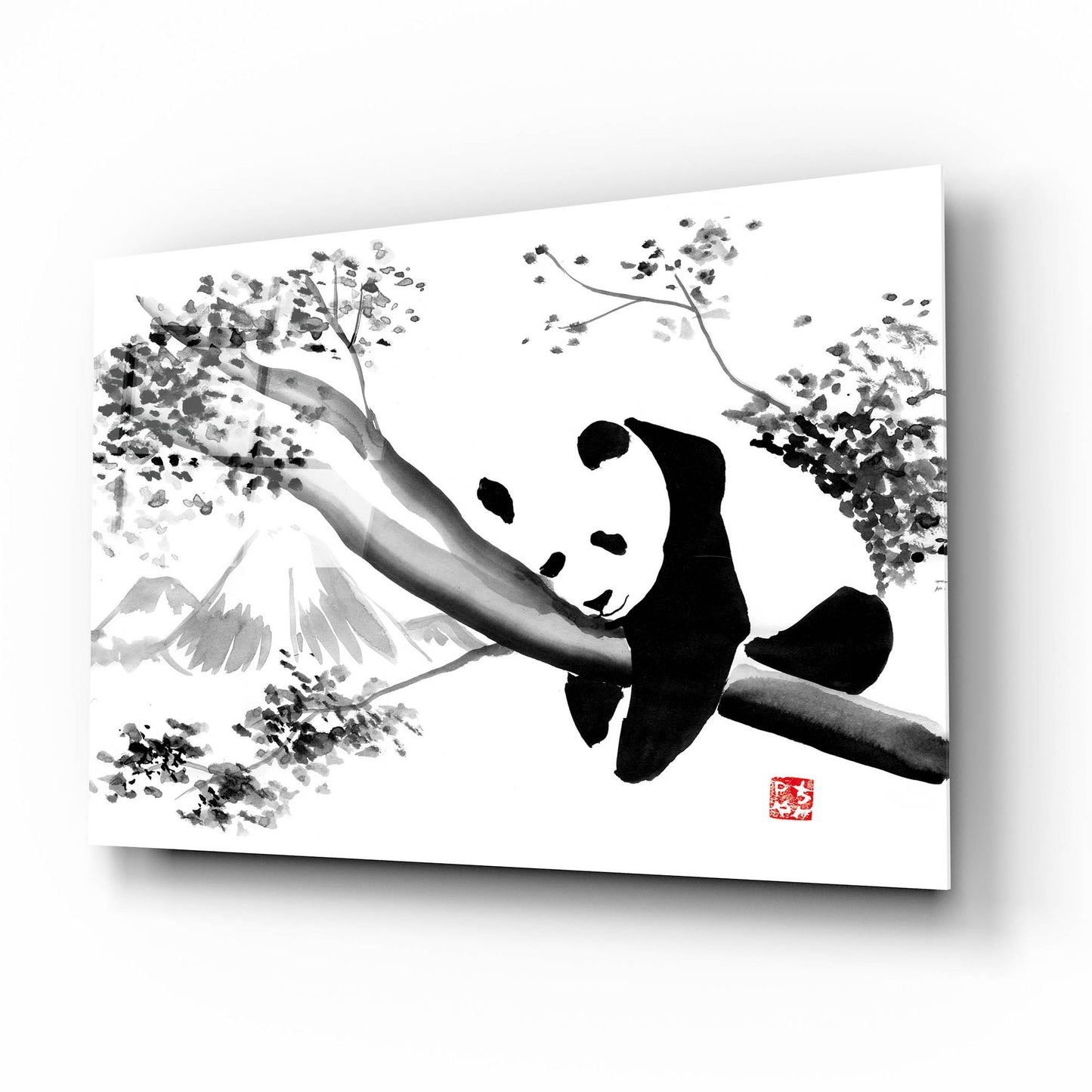 Epic Art 'Panda In His Tree' by Pechane, Acrylic Glass Wall Art,16x12