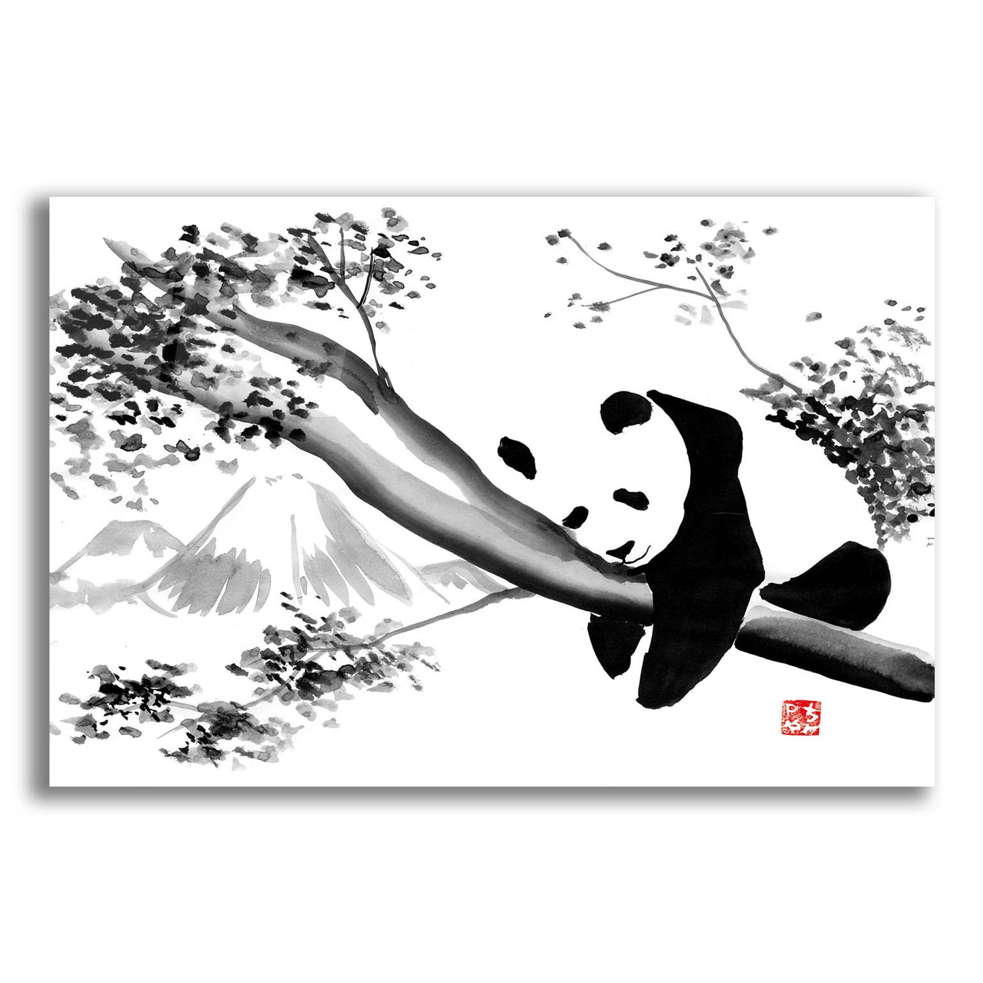 Epic Art 'Panda In His Tree' by Pechane, Acrylic Glass Wall Art,16x12