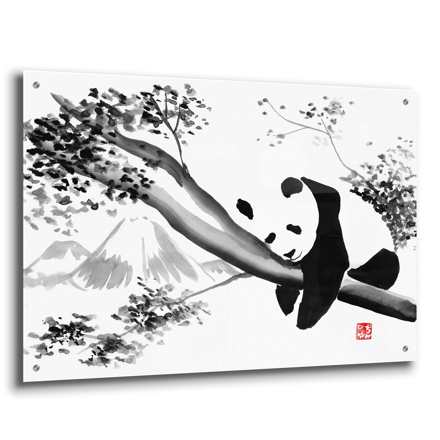 Epic Art 'Panda In His Tree' by Pechane, Acrylic Glass Wall Art,36x24