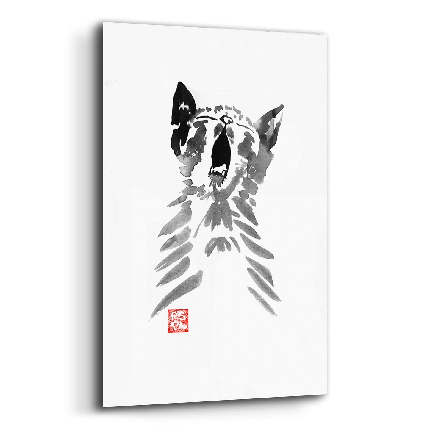 Epic Art 'Yawning Cat' by Pechane, Acrylic Glass Wall Art,12x16